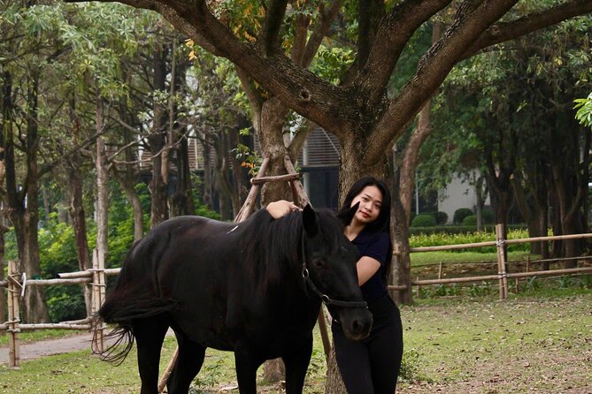 Hanoi Horseback Riding Club & Tours - Exclusive Experience - The horseshoe keepsake and feeding time
