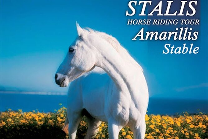 HORSE RIDING 1.5 hours mountains from area Hersonissos CRETE - 6 key things that make this horse ride worth your time