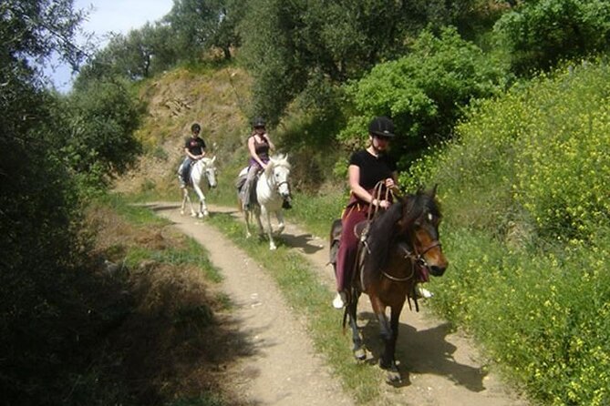 HORSE RIDING 1.5 hours mountains from area Hersonissos CRETE - Getting From Hersonissos to the Riding School