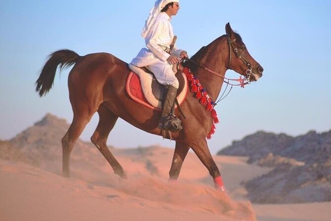 Horse Riding 1-Hour Adventure Trip With Transfer - Hurghada - Choosing Your Horse: What “Matched to Your Experience” Really Means