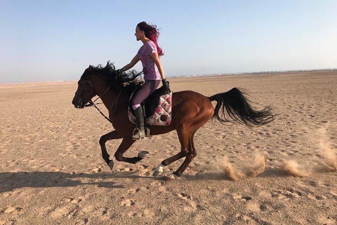 Horse Riding 1-Hour Adventure Trip With Transfer - Hurghada - Arriving at the Equestrian Center: Welcome Drink, Safety Gear, and Real Prep