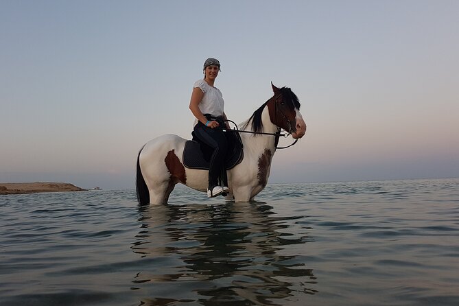 Horse Riding 2 Hours & Relaxation Turkish Bath & Sauna - Hurghada - The key things you’re really paying for