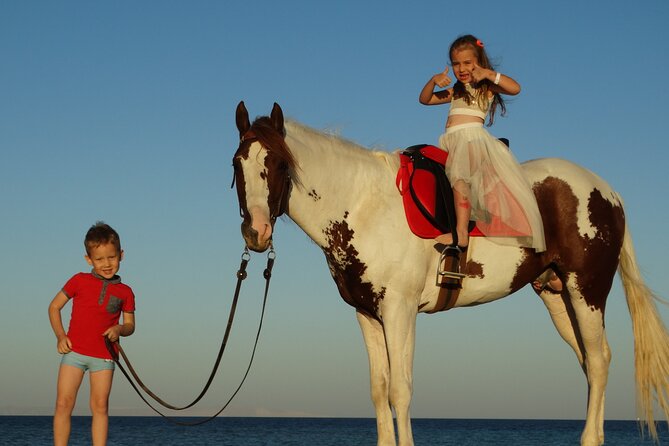 Horse Riding 2 Hours & Relaxation Turkish Bath & Sauna - Hurghada - Two hours on horseback at the Wonderful Desert