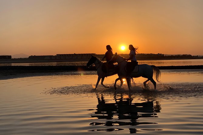 Horse Riding 3 Hours Beach, Desert, & Swimming By Horse in red sea - Hurghada - Desert and Red Sea Horseback: The Real Hook