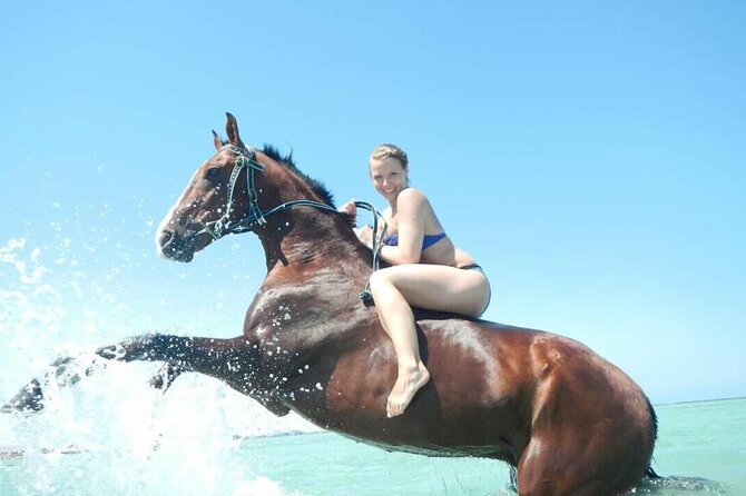 Horse Riding 3 Hours Desert Beach Swimming by horse in Hurghada - From Your Hurghada Hotel to the Stable: How the 3-Hour Block Works
