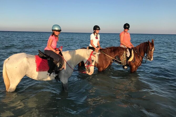 Horse Riding 3 Hours Desert Beach Swimming by horse in Hurghada - Red Sea Horse Swimming: How the Water Part Works