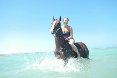 Horse Riding 3 Hours Desert Beach Swimming by horse in Hurghada - Meeting Your Horse and Getting Trained On the Sand