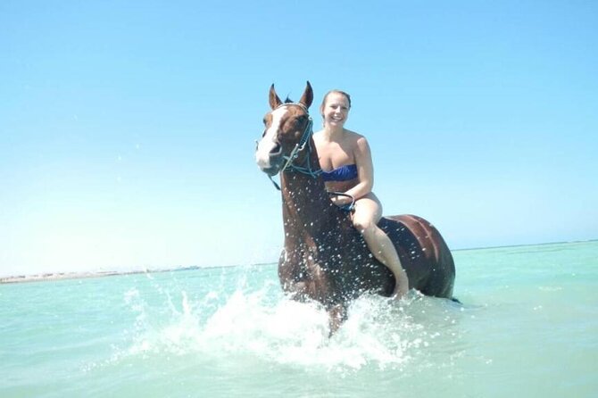Horse Riding 3 Hours Desert Beach Swimming by horse in Hurghada - Meeting Your Horse and Getting Trained On the Sand