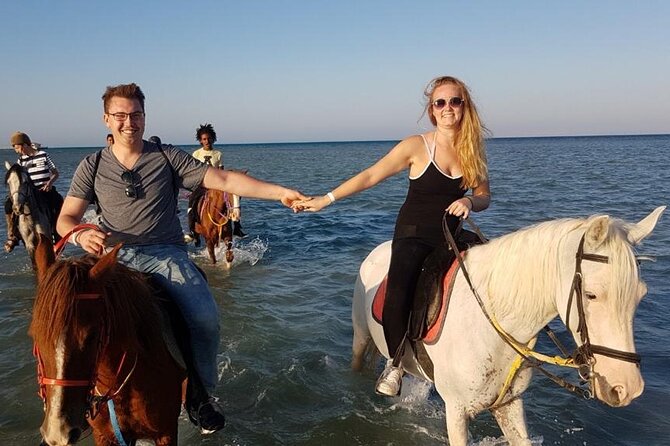 Horse Riding Adventure 2 hours sea and Desert - Hurghada - Key Things To Know Before You Ride (Hurghada Sea + Desert)