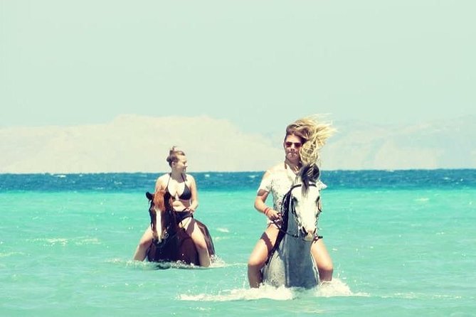 Horse Riding Adventure 2 hours sea and Desert - Hurghada - The Sea Ride Part: Short Saltwater Time and Big Photo Potential