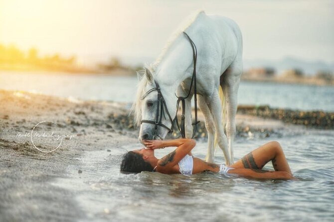 Horse Riding Adventure 2 hours sea and Desert - Hurghada - The Desert Ride Part: Calm, Rhythm, and Real Desert Feeling