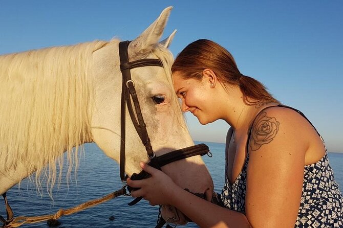 Horse Riding Adventure 2 hours sea and Desert - Hurghada - Horses and Staff: What Works Well (And What to Watch)