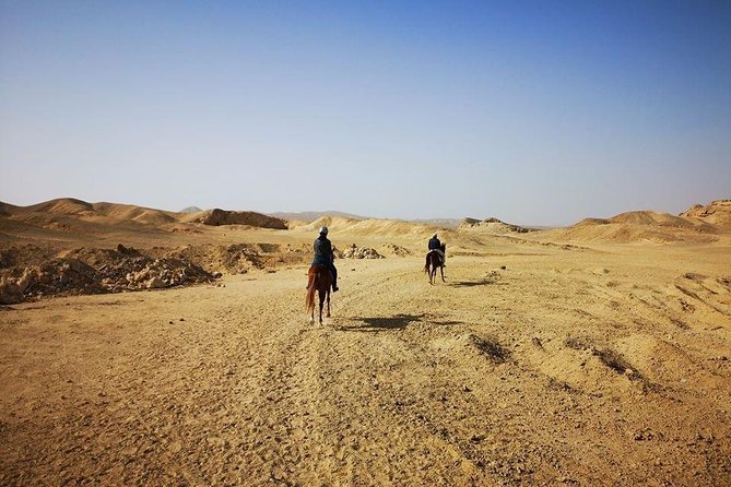 Horse Riding Adventure 2 hours sea and Desert - Hurghada - Who This Tour Suits Best (Family, Beginners, and Quick-Planners)