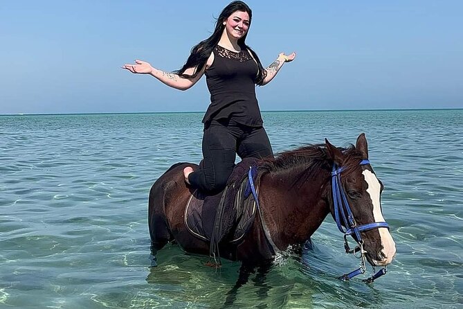 Horse Riding Adventure 2 hours sea and Desert - Hurghada - Price and Value at About $26: What You’re Really Paying For