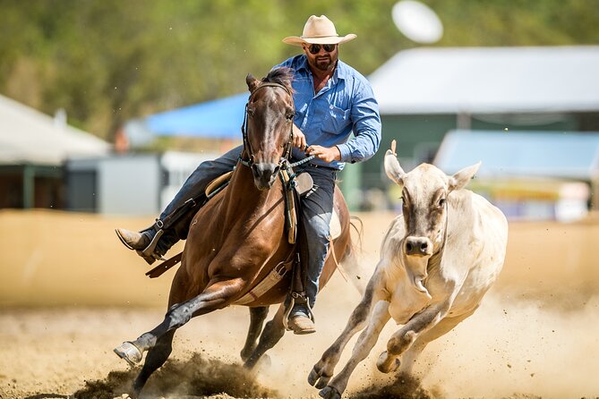 Horse Riding Adventure in the Outback - Key highlights (what’s genuinely interesting)