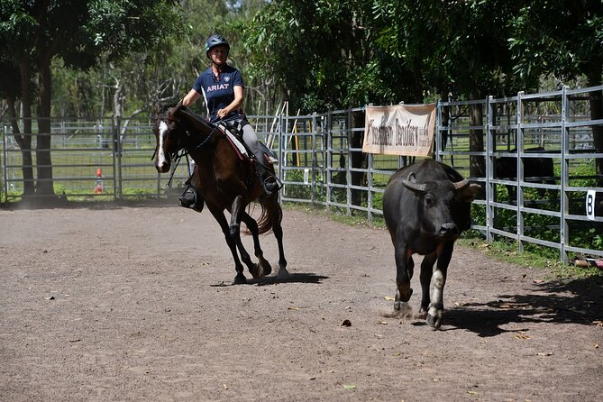 Horse Riding Adventure in the Outback - Why this Darwin NT Stockman ride feels different
