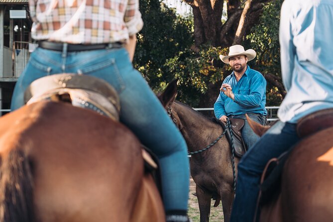 Horse Riding Adventure in the Outback - Camp drafting demo: what you watch before you try
