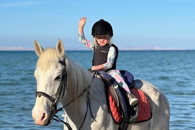 Horse riding Adventure on the Sea with Transfer in Hurghada - Quick hits for this Red Sea horseback ride