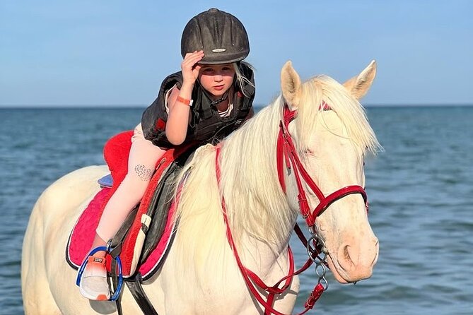 Horse riding Adventure on the Sea with Transfer in Hurghada - Horses and Instruction: Why Safety Feels Real Here