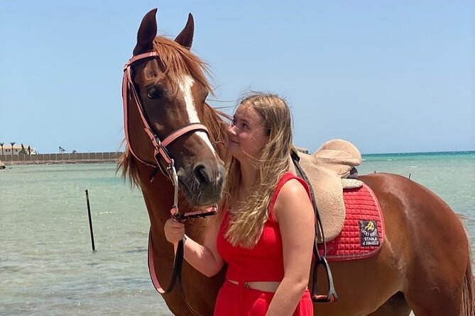 Horse riding Adventure on the Sea with Transfer in Hurghada - Price and Value: $10 Is the Hook, But the Admission Fee Changes the Math