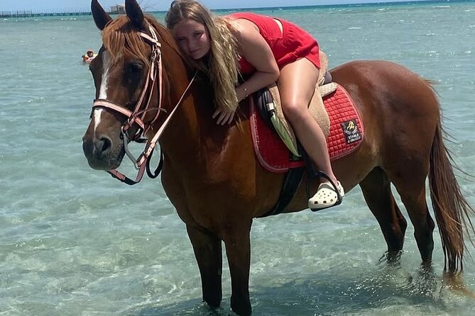 Horse riding Adventure on the Sea with Transfer in Hurghada - Who This Is Best For (and Who Might Want to Re-think It)