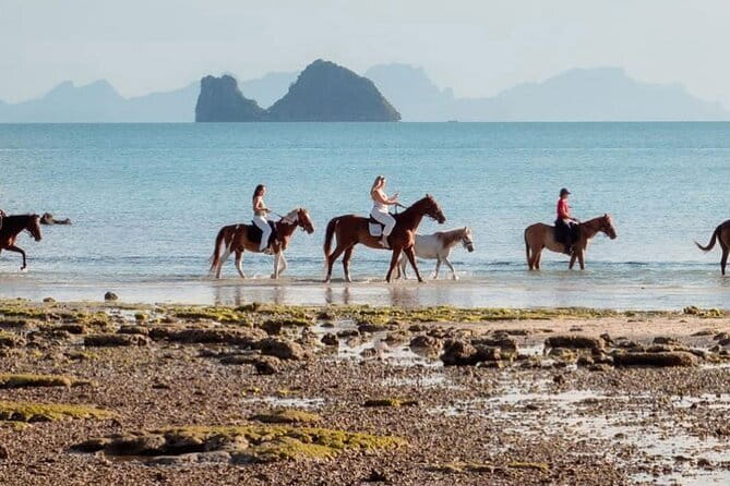 Horse Riding and Beach Trails on Koh Samui - Where You Meet at Laem Yai Beach (and Why Timing Matters)