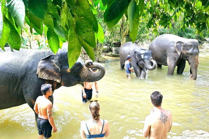 Horse Riding and Beach Trails on Koh Samui - What You Get for $81.38: Value Breakdown That Makes Sense