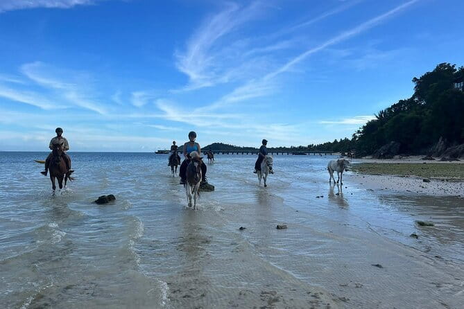 Horse Riding and Beach Trails on Koh Samui - Family-Friendly Reality Check (and Who Will Love It Most)