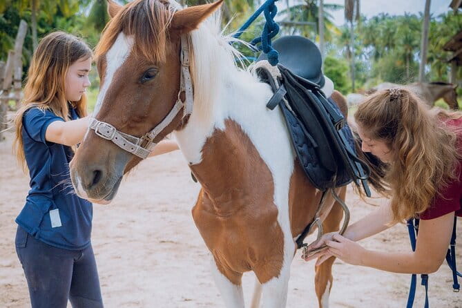 Horse Riding and Beach Trails on Koh Samui - The One-Hour Flow: Gardens, Trails, Then the Shoreline