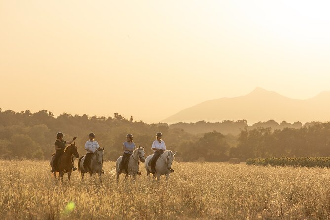 Horse Riding and Wine Tasting Experience - Key Highlights You’ll Notice Fast