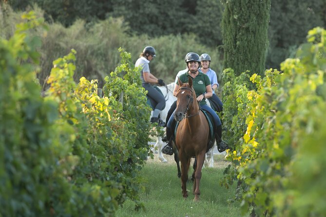 Horse Riding and Wine Tasting Experience - Riding Out of Cal Robusto: What the Morning Feels Like