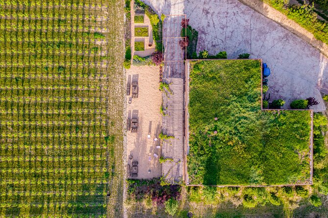 Horse Riding and Wine Tasting Experience - Vineyard Tour Details: How the Team Brings the Property to Life