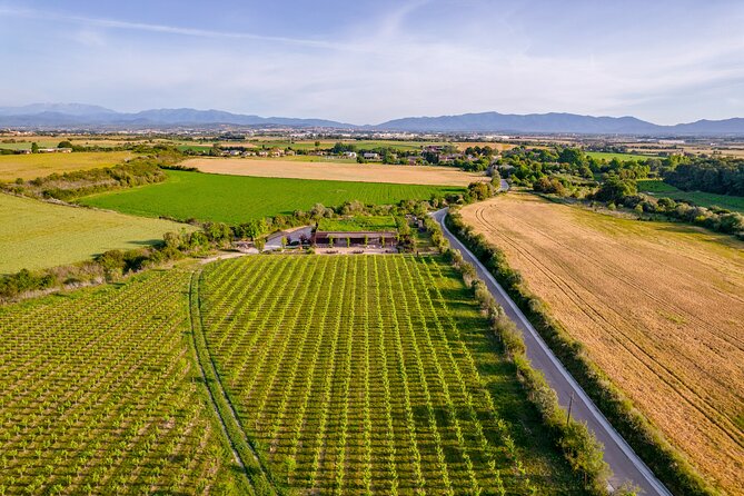 Horse Riding and Wine Tasting Experience - Wine Tasting: What You’ll Actually Taste and Learn