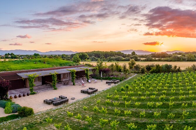 Horse Riding and Wine Tasting Experience - Timing, Getting There, and What to Pack