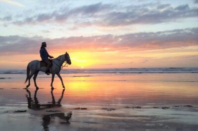 Horse riding at sunset for 2 hours - Key things to know before you book