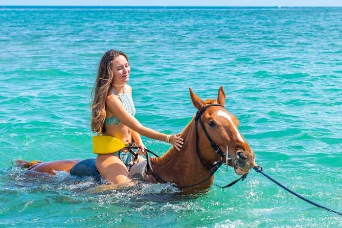 Horse Riding Beach or Desert with transfer from Sharm El Sheikh - Getting picked up in Sharm El Sheikh: what “transfer included” really means