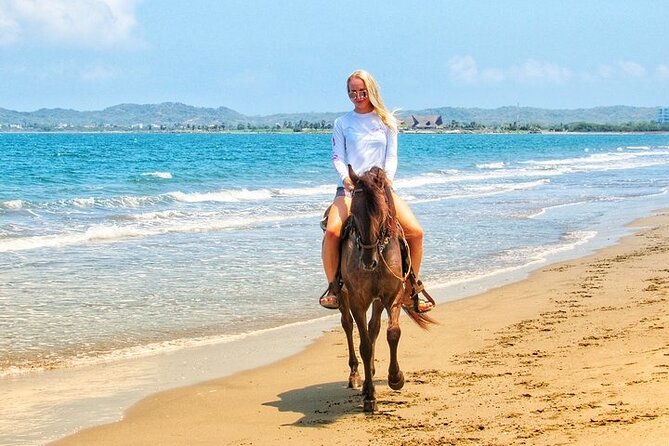 Horse Riding Beach or Desert with transfer from Sharm El Sheikh - Meet your horse and guide: how the experience stays beginner-friendly