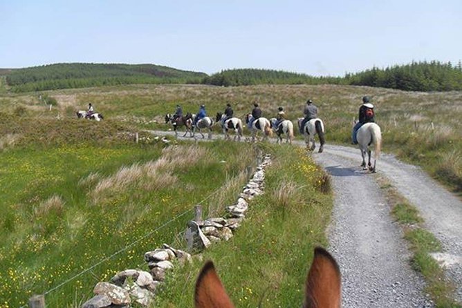 Horse riding - Burren Trail. Lisdoonvarna, Co Clare. Guided. 3 hours. - Burren Trail on horseback: why this works so well