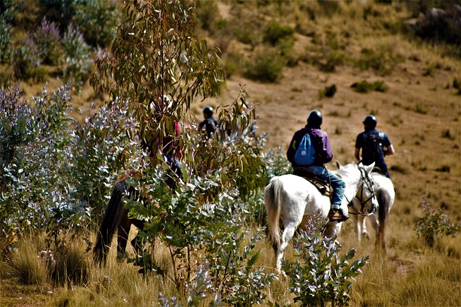 Horse Riding Chacan Mountain And Temple Of The Moon - Getting There Smoothly: Transfers and Timing That Actually Help