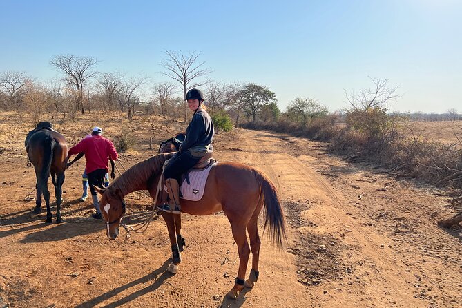 Horse Riding Community Village Tour Experience - Price and Value: What $135 Buys You Here