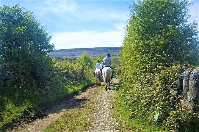 Horse riding - Dirt Trek Trail. Lisdoonvarna, Clare. Guided. 1 hour. - Guided by Peter and the Mountain View Team: Calm Coaching That Works