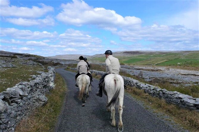 Horse riding - Dirt Trek Trail. Lisdoonvarna, Clare. Guided. 1 hour. - Price and Logistics: Is $121.62 for an Hour Worth It?