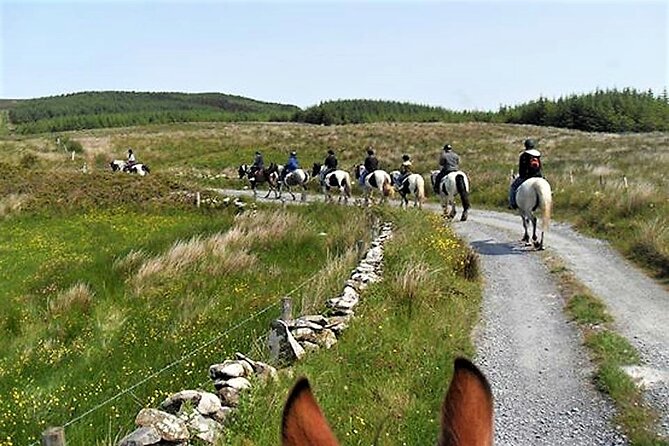 Horse riding - Dirt Trek Trail. Lisdoonvarna, Clare. Guided. 1 hour. - Who Should Book the Dirt Trek Trail (and Who Might Want a Different Option)?