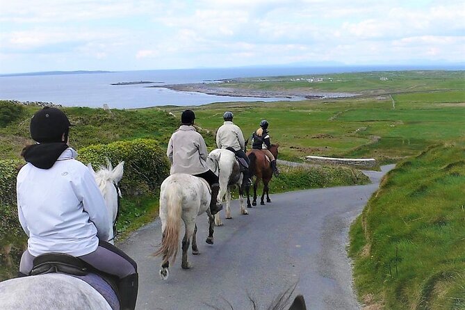 Horse riding - Dirt Trek Trail. Lisdoonvarna, Clare. Guided. 1 hour. - Views Worth the Saddle: Cliffs of Moher, Aran Islands, and Connemara Mountains