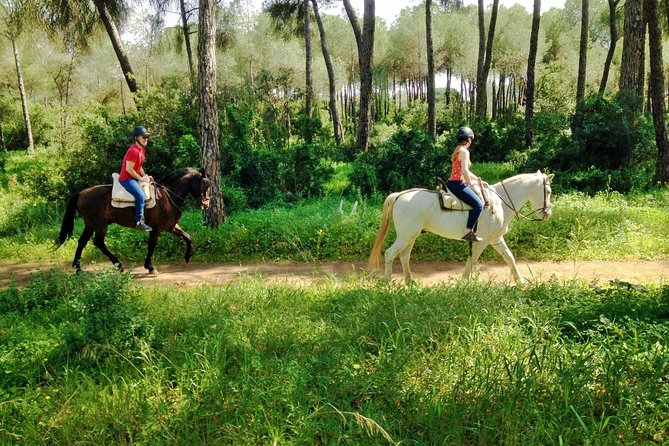 Horse Riding Excursion from Seville - Quick hits before you saddle up