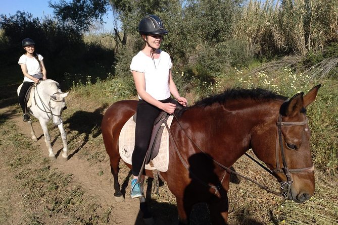 Horse Riding Excursion from Seville - Riding out toward Parque Nacional de Doñana: pine trails, olive groves, and wildlife time