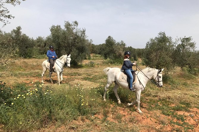 Horse Riding Excursion from Seville - The guide makes the difference: English, instructions, and the ranch owner touch