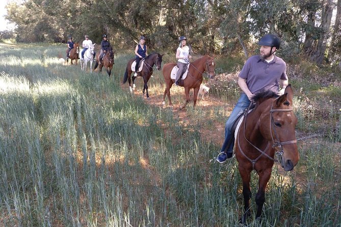 Horse Riding Excursion from Seville - Small group dynamics: less stress, more time in the saddle