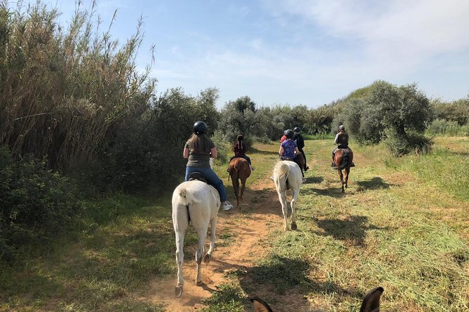 Horse Riding Excursion from Seville - Price and what you’re actually paying for ($166.99 plus pickup options)