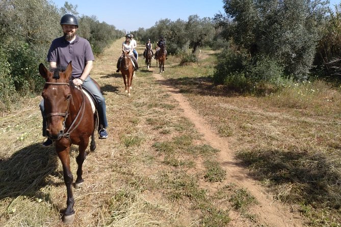 Horse Riding Excursion from Seville - What to wear and bring so you don’t spend the ride thinking about comfort